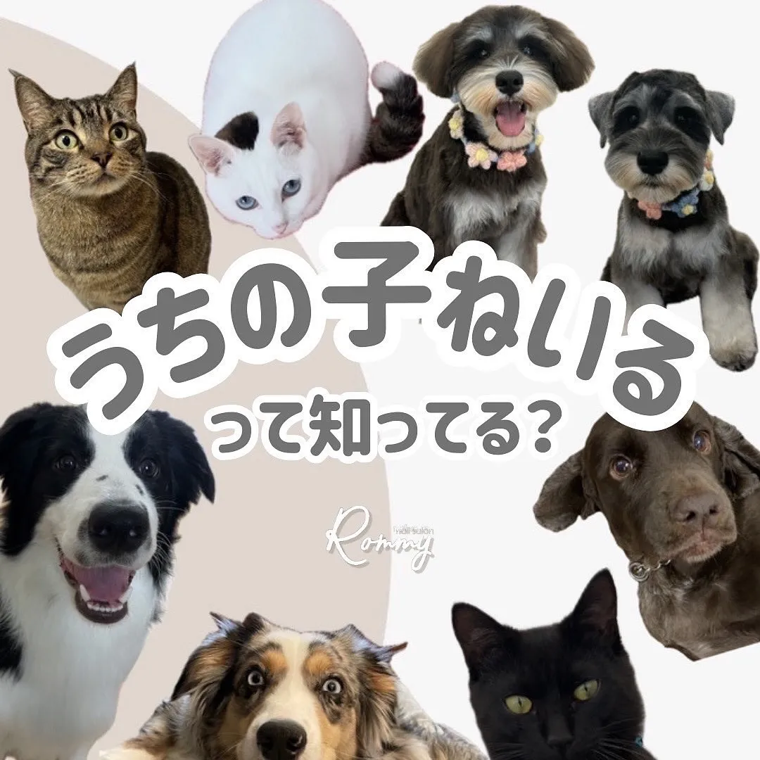 皆様の大切な愛犬🐶愛猫🐈‍⬛その他ペットちゃん達のネイルしま...